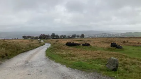 A winding un-made road through yellow and green moorland leading to a cluster of trees where the caravan park is based 