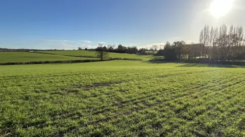 A large open green field with an area of trees to the right with hedge rows running in the distance. The photo has been taken on a clear sunny day.