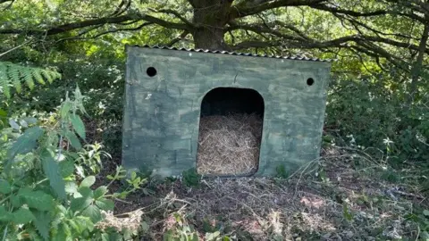 Pig sty in wooded area filled with straw