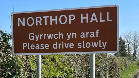 Photograph of a road sign reading: "Northop Hall. Gyrrwch yn araf. Please Drive slowly".