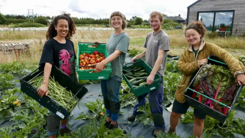 Volunteers at the farm 