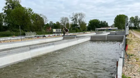 A shot of two concrete tanks partially in the ground with water. Trees surround.