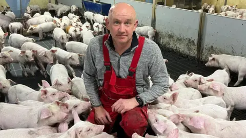 Pig farmer Gregor Christie, bald, wearing a grey zip-up jumper underneath a pair of red salopettes, kneeling down in a large pig pen surrounded by lots of piglets