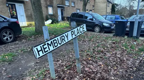 The street sign for Hembury Place, which is on a grass verge and surrounded by autumn leaves. Behind it are a row of modern terraced houses with white front doors. Cars are parked on the street.