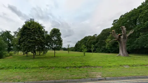 Some trees and shrubs, most in full leaf, but one dead and pollarded stump, grass and a kerb with double yellow lines on the road.