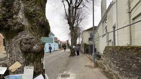 The three lime trees lining a pavement on the left in a residential street. There are notes and strings tied to the tree at the front of the image. There is a wall on the right, and fencing with housing behind it.