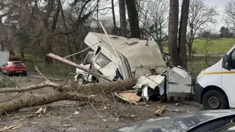 A white caravan has been almost completely crushed by a long thin tree.