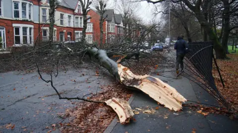 PA Media Man walks past bent fence and tree fallen on car