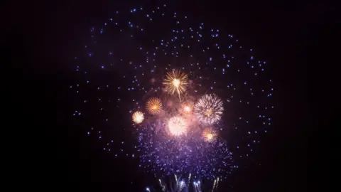 Fireworks in a dark night sky.