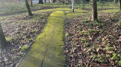 A picture of a path that runs in a small woodland. The path is mossy and surrounded by trees on both sides. It is winter, so there are a lot of leaves on the ground.