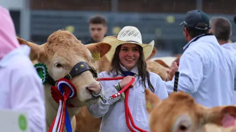 A woman holds a cow at the Royal Welsh Show