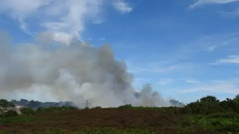 Dorset Emergency A large plume of smoke rises up from an area of heathland
