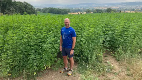 Freestone pictured standing in front of a large field of hemp with distant hills and fields in the background.