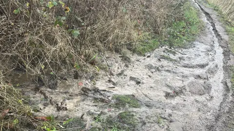 Residents A layer of what seems to be sewage covering a grass and bramble bank