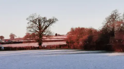 Weather Watcher/Lesley Jane A snowy field in Chard. The sun is coming up pink on to the trees. 