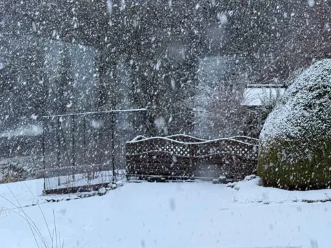 Nessie Watcher/BBC Weather Watchers Snow falls heavily on a garden scene, lying thickly on a fence and a large bush