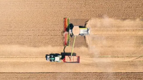 Getty Images A drone view of agricultural harvesting in the UK - stock photo