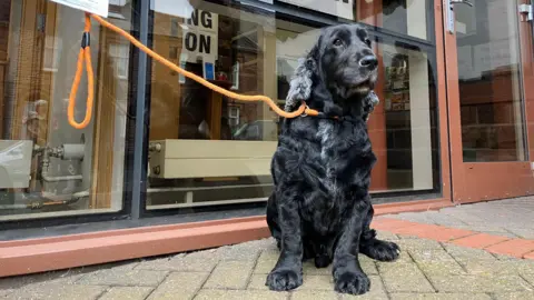 A black dog waits on a lead outside a polling station in Penrith, Cumbria