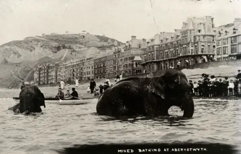 Arthur Lewis / National Library of Wales The photograph Mixed Bathing in Aberystwyth by Arthur Lewis