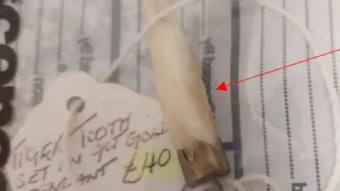 Lincolnshire Police Police image of a tiger's tooth with a metal pendant and ring at the end. A tag with £40 written on is attached.