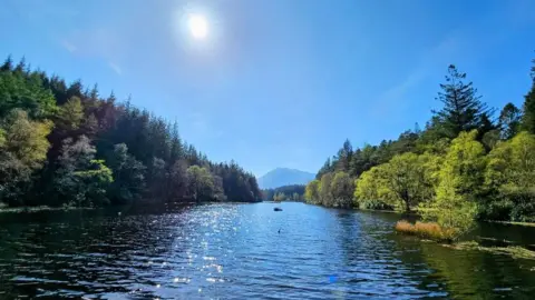 Donna McAdam The view down a river with trees on both sides. The sun shines high in the sky which is a clear blue.