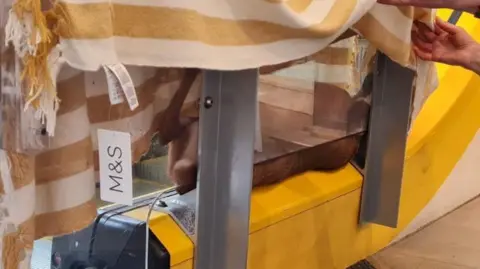Hillside Animal Sanctuary A muntjac deer laying on its back stuck in a gap between an escalator and glass panel. There is a yellow and white striped blanket covering the glass.