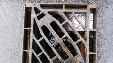 SSEN Ladder in a drain