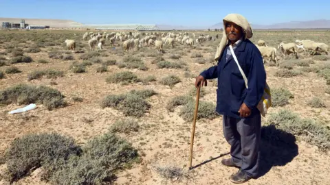 AFP Salem, a 45-year-old Tunisian shepard, leads his flock in the town of Mdhila, south of Gafsa, one of the main mining sites in central Tunisia. work has resumed after a month-long strike. on March 9, 2018.