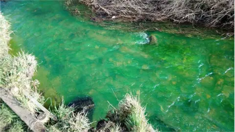 Antonia Hynd Braid Burn