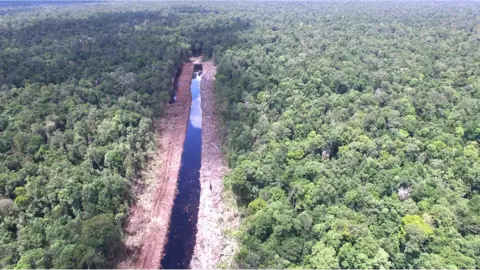 BBC Canal dug into forest in West Kalimantan, Indonesia