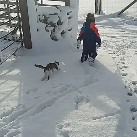 Aaron Breen Alfie's cat