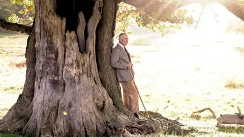 Getty Images King Charles III, an older man with short white hair, is pictured leaning against the trunk of a large oak tree. He is wearing a light coloured suit and holding a walking stick. Sun is bursting in from the right of the image. 