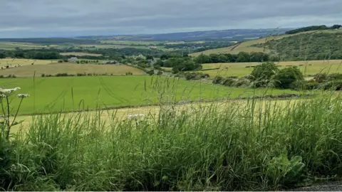 Exagen/Northumberland County Council A green landscape of fields lined with trees near Whittonstall, Northumberland. In the foreground there is tall grass and beyond the fields there are buildings in the distance.