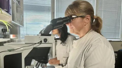 Researchers in a lab in Cambridge