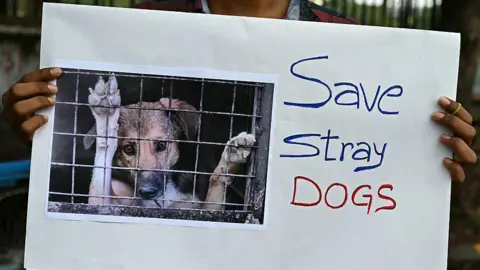 A person holds a poster with the image of a puppy in a cage. The poster reads: Save stray dogs