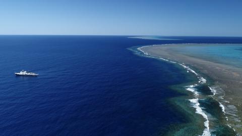 Great Barrier Reef: Scientists find reef taller than Empire State ...