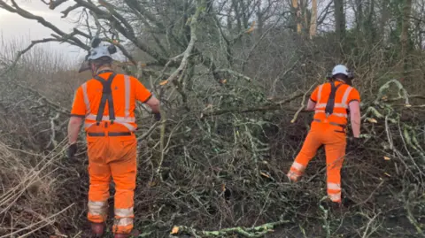 Two tree surgeons working, cutting back a tangled mess of fallen tree branches. They have their backs to the camera. They are both wearing orange uniforms and white helmets.