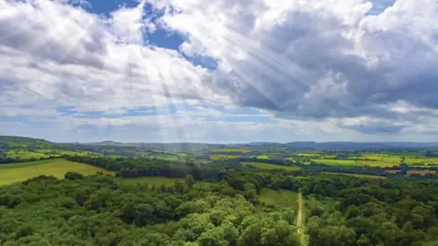 Dorset Wildlife Trust Powerstock Common