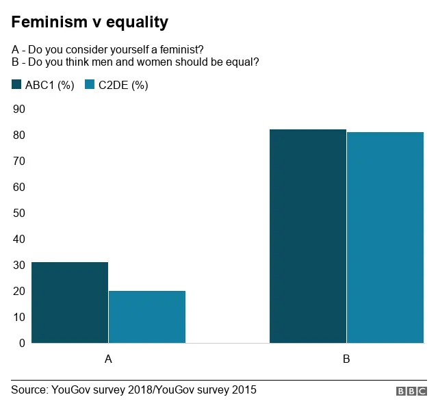 Feminism v equality