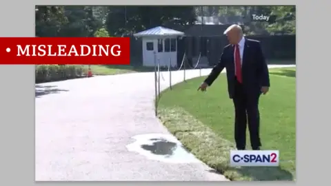 Trump points at puddle