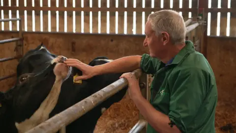 BBC/Judy Hobson David Black has short white hair and is wearing green overalls. He has both his sleeves rolled up. He is leaning over a metal barrier and stroking the mouth of a black and white cow. There is hay on the floor and a fence in the background. They are in what looks like an indoor space.
