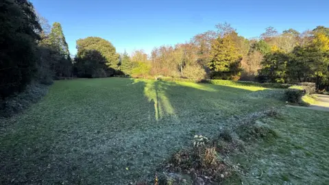 George King/BBC A large green lawn in Ipswich's Christchurch Park which is surrounded by hedges and woodland.