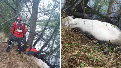 Oxfordshire Fire and Rescue Service Cow rescue