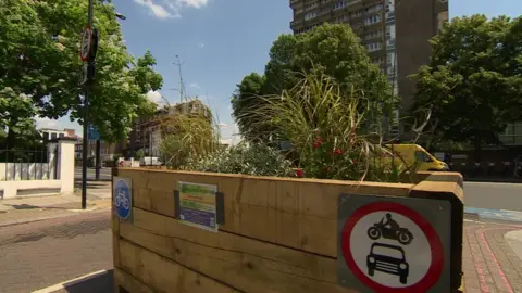 BBC Planters in Oval