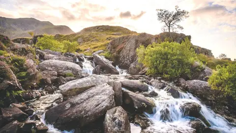 Getty Images Upland stream