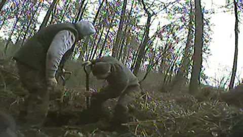 Illegal digging for badgers