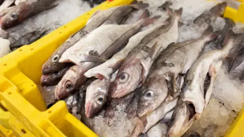 Getty Images Pallet of fish