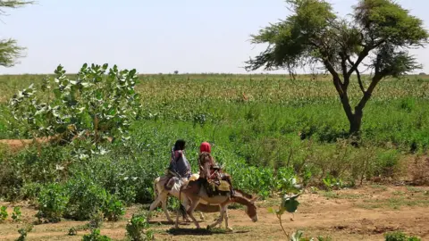 Getty Images Sudanese women ride their donkeys near a camp for internally displaced people (IDP) in El-Fasher, the capital of the North Darfur state, on November 04, 2019. - Sudan's prime minister Abdalla Hamdok's one-day visit was his first as prime minister to the devastated region, where a conflict that erupted in 2003 has left hundreds of thousands dead and millions displaced. He said his government was working toward bringing peace to war-torn Darfur as he met hundreds of victims of the conflict who demanded swift justice.