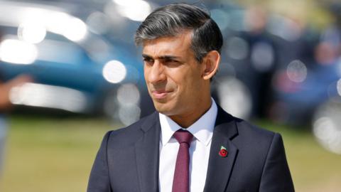 Prime Minister Rishi Sunak in a suit with a red poppy pin on his lapel