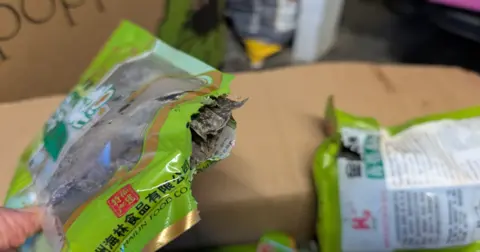 Oxford City Council A green packet of seaweed is held in someone's hand. The corner of the packet has been gnawed open. Teeth marks can be seen across one frayed edge. In the background, another similar-looking packet of seaweed had been opened at the corner in the same way. 